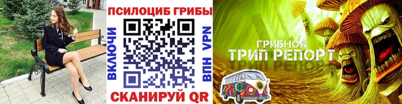 продажа наркотиков  Малмыж  Псилоцибиновые грибы MAGIC MUSHROOMS 